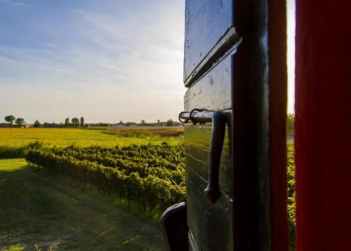 Cortezecchina بيوفي دي ساكّو